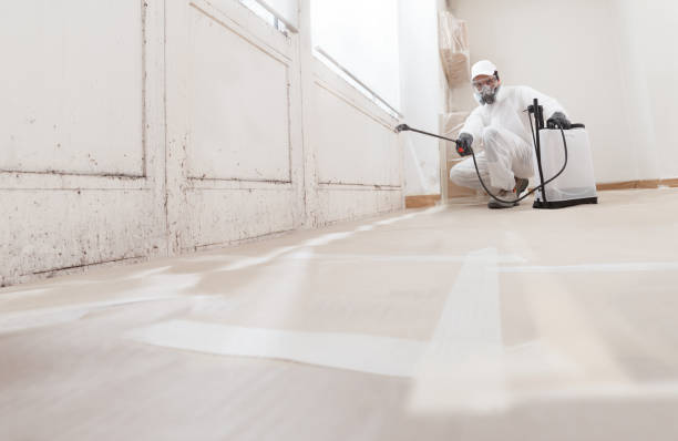 24/7 Emergency Commercial Mold Remediation experts in Morrisville, NC