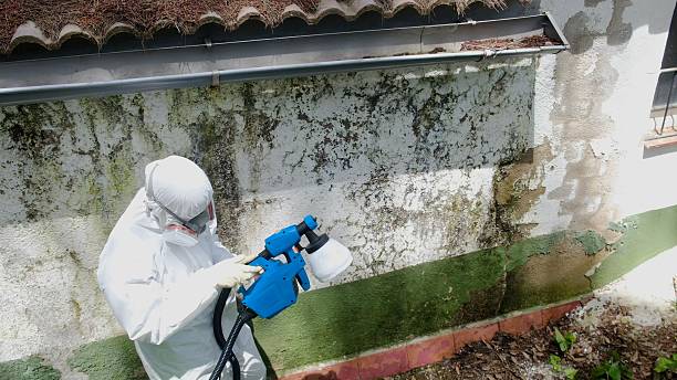 Top rated local Commercial Mold Remediation specialists in Morrisville, NC